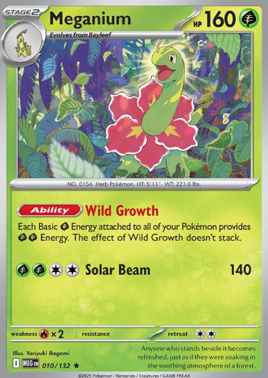#010 Meganium Mega Evolution