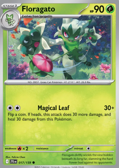 #017 Floragato Journey Together