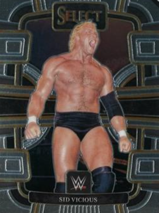 #035 Sid Vicious Base Silver WWE Select 24