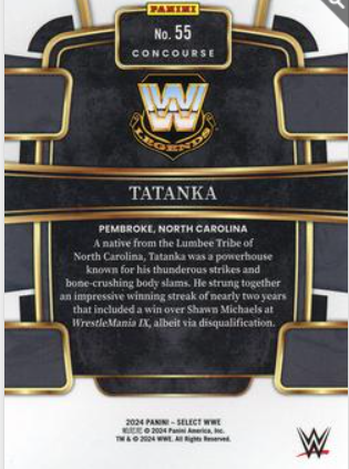 #055 Tatanka Base Silver WWE Select 24
