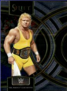 #0195 "Mr Perfect" Curt Hennig Premier Silver WWE Select 24