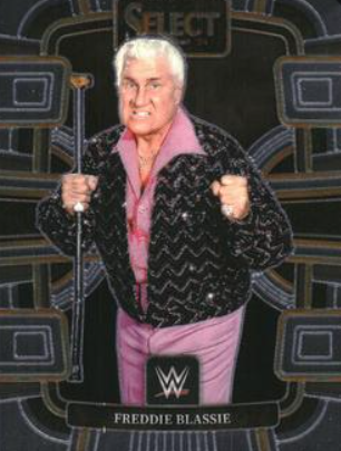 #031 Freddie Blassie Base Red and Blue WWE Select 24