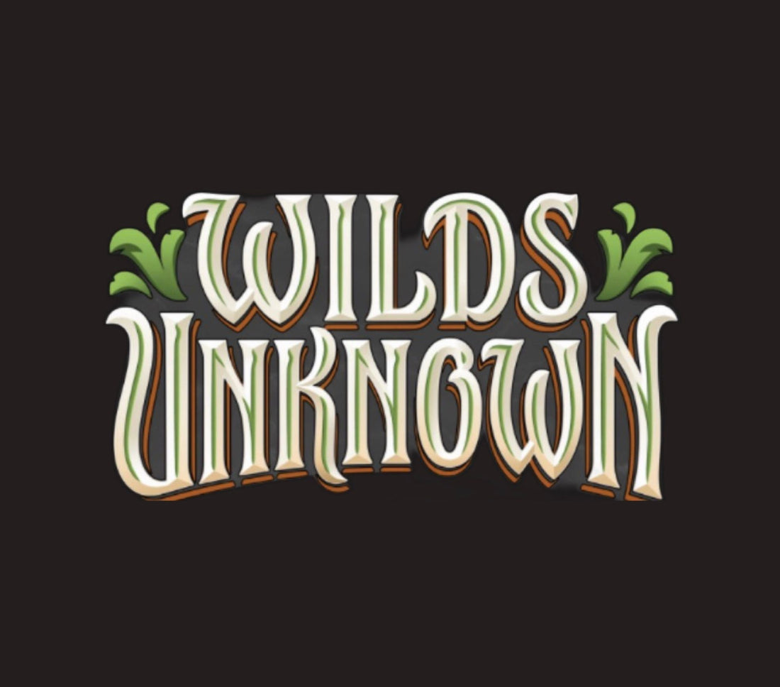 Disney Lorcana Wilds Unknown Set – Everything You Need to Know