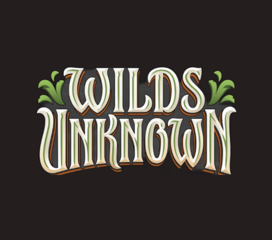 Disney Lorcana Wilds Unknown Set – Everything You Need to Know