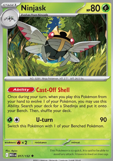 #017 Ninjask Mega Evolution