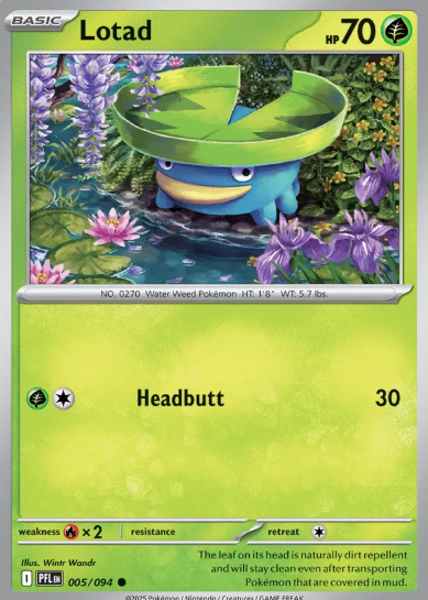 #005 Lotad Mega Evolution Phantasmal Flames