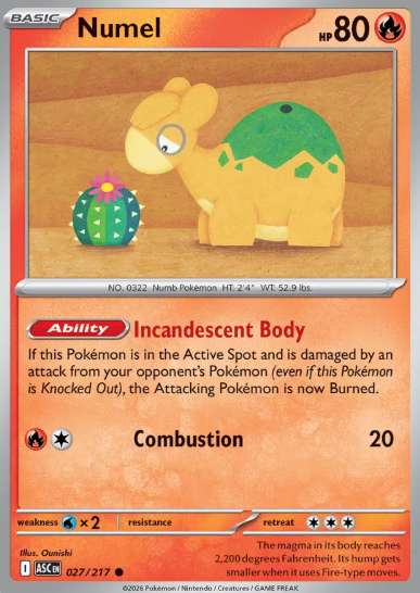 #027 Numel Mega Evolution Ascended Hero