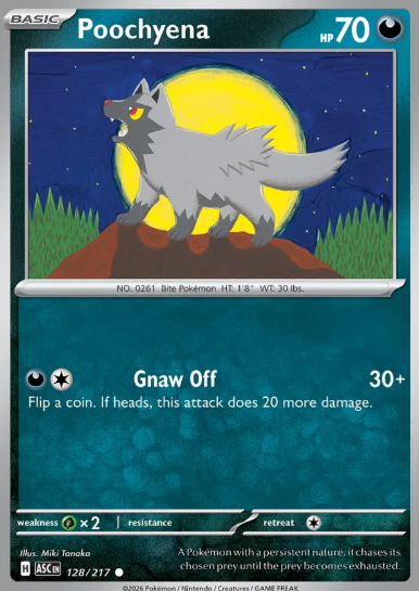 #128 Poochyena Mega Evolution Ascended Hero