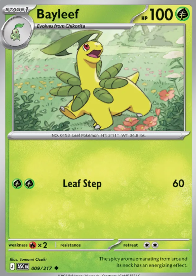 #009 Bayleaf Mega Evolution Ascended Hero