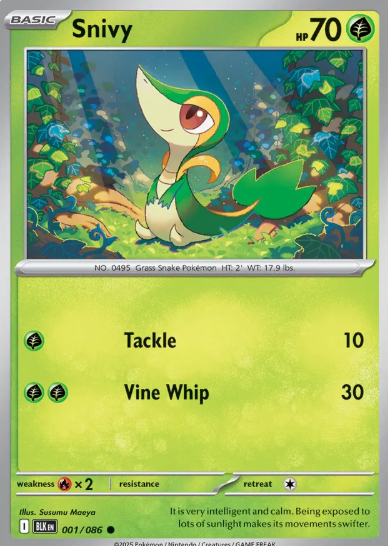 #001 Snivy Black Bolt