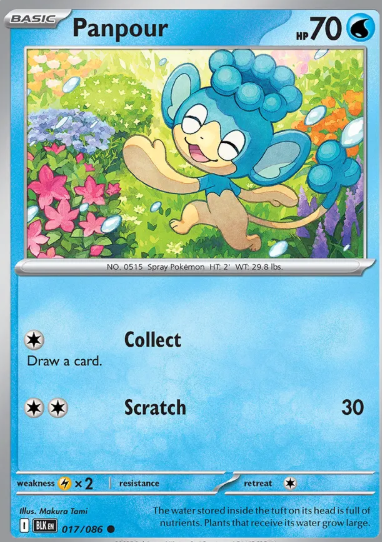 #017 Panpour Black Bolt