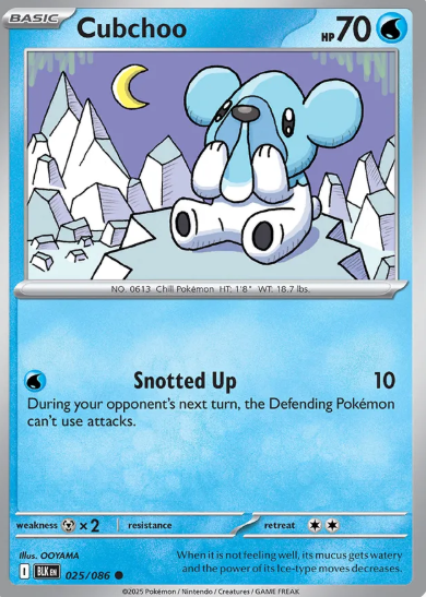 #025 Cubchoo Black Bolt