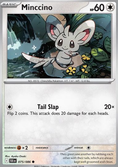 #075 Minccino Black Bolt