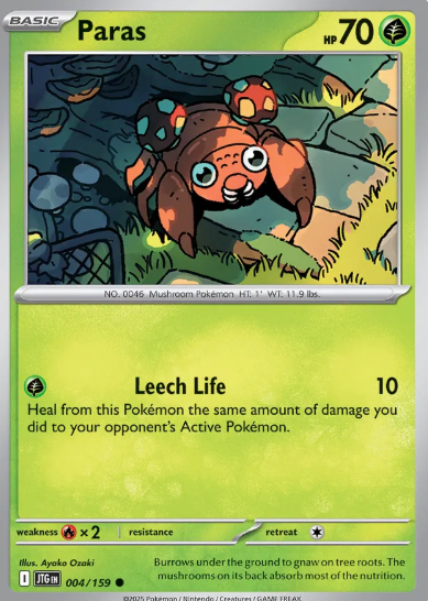 #004 Paras Journey Together