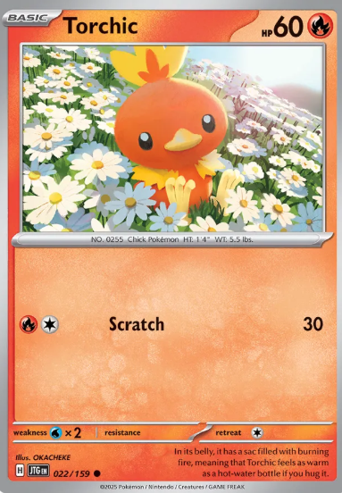 #022 Torchic Journey Together