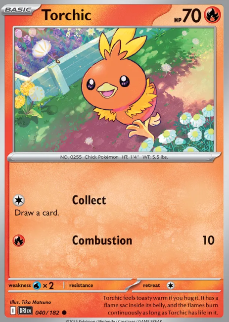 #040 Torchic Destined Rivals
