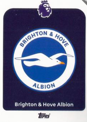#073 Brighton & Hove Albion Badge Parallel Card