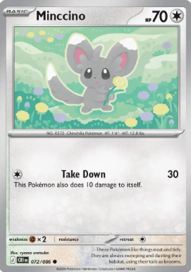 #072 Minccino Mega Evolution Chaos Rising