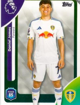 #337 Daniel James Leeds United