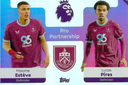#379 Maxime Esteve & Lucas Pires Pro Partnership
