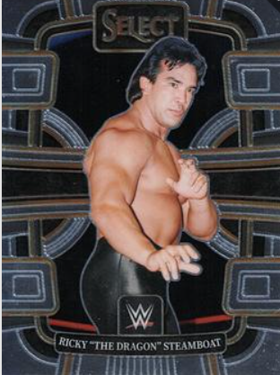 #093 Ricky "The Dragon" Steamboat Base Silver WWE Select 24