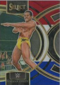 #152 Norman Smiley Premier Silver WWE Select 24