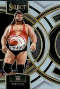 #138 Typhoon Premier Silver WWE Select 24