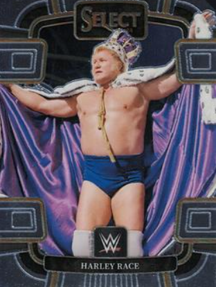 #061 Harley Race Base Red and Blue WWE Select 24