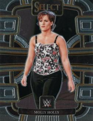 #063 Molly Holly Base Red and Blue WWE Select 24