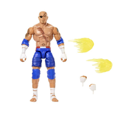 WWE Elite Collection Series X Street Fighter Figure Series 2 SET